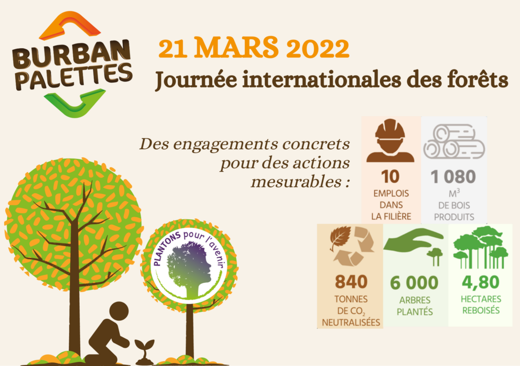 Journée internationale des forêts