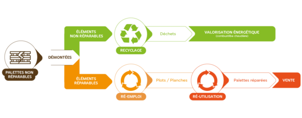 Cycle de vie d'une palette - Journée Mondiale du Recyclage 2026