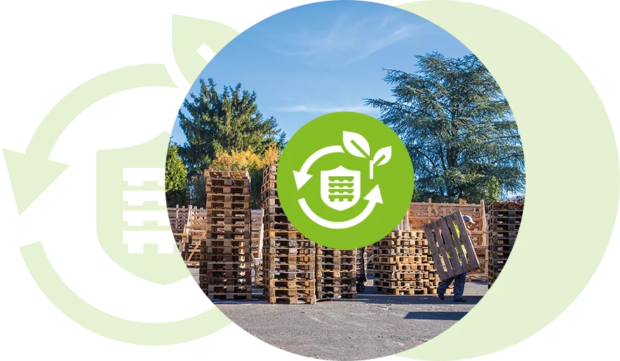 BURBAN PALETTES - RSE économie collecte de palettes