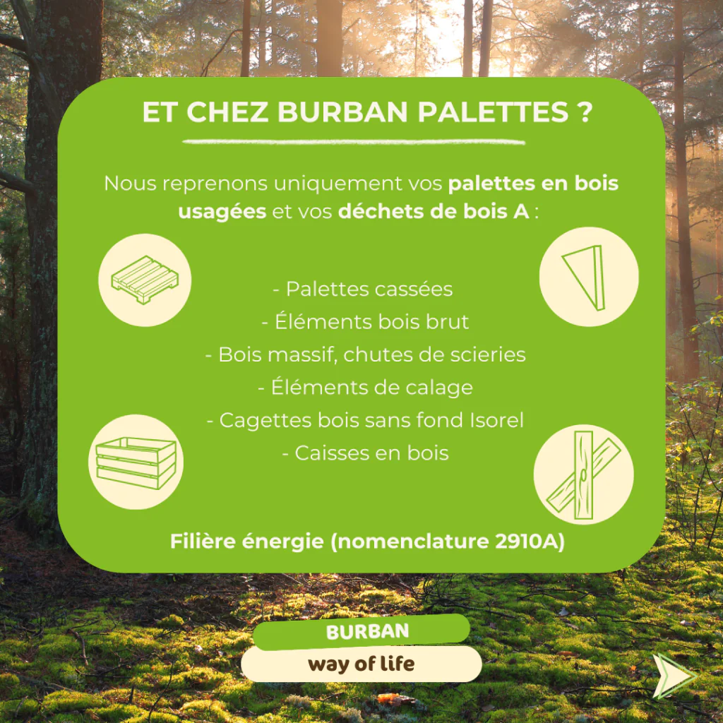 Journée mondiale du Recyclage : Le bois Chez Burban Palettes
