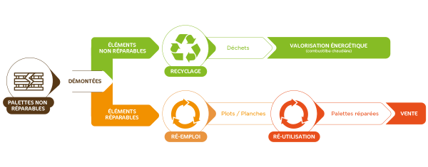 Cycle de vie d'une palette - Journée Mondiale du Recyclage 2026